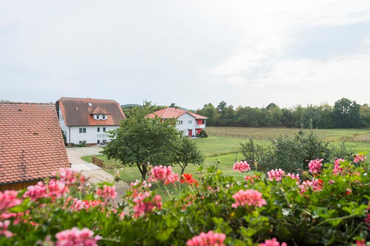 Gasthaus-Pension Hofmann Oberdachstetten Bagian luar foto